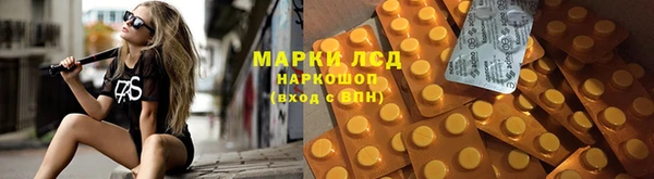 дурь Ельня