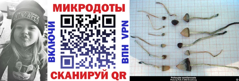 ссылка на мегу маркетплейс  Верхоянск  Галлюциногенные грибы Magic Shrooms 